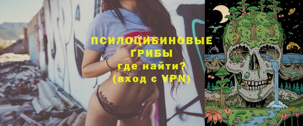 сатива Алексеевка