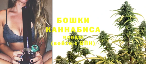 сатива Абдулино