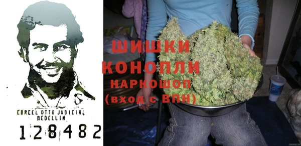 шишки Алзамай