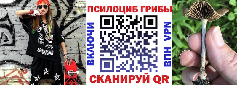 Галлюциногенные грибы мицелий KRAKEN вход Сарапул
